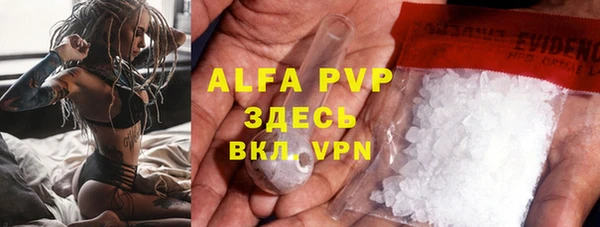 ГАЛЛЮЦИНОГЕННЫЕ ГРИБЫ Белокуриха