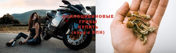 ГАЛЛЮЦИНОГЕННЫЕ ГРИБЫ Белокуриха