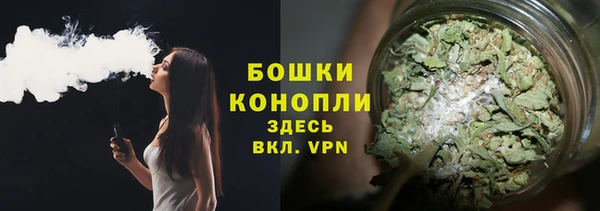 ГАЛЛЮЦИНОГЕННЫЕ ГРИБЫ Белокуриха
