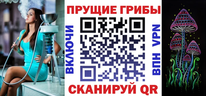 Галлюциногенные грибы Psilocybine cubensis  цена наркотик  Павловск 